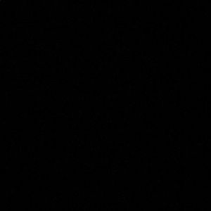 Meet your Posher, Gavin